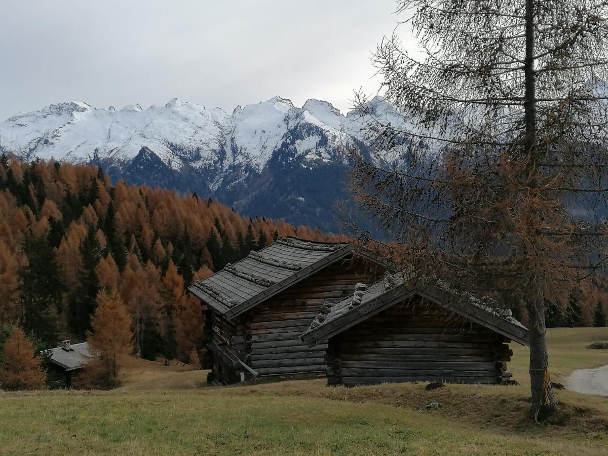 Dolomites B&B - Suites, Apartments And Spa Tesero Eksteriør billede
