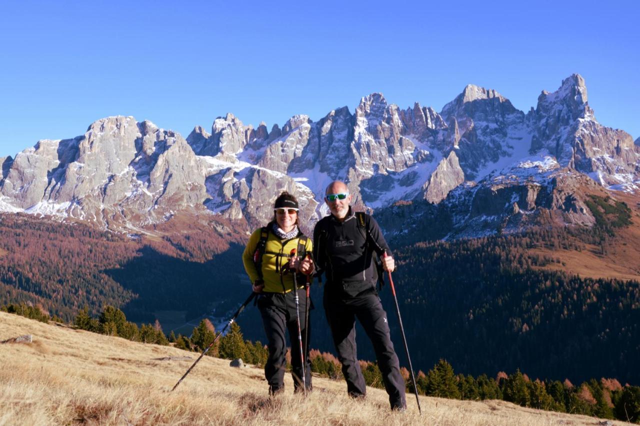 Dolomites B&B - Suites, Apartments And Spa Tesero Eksteriør billede