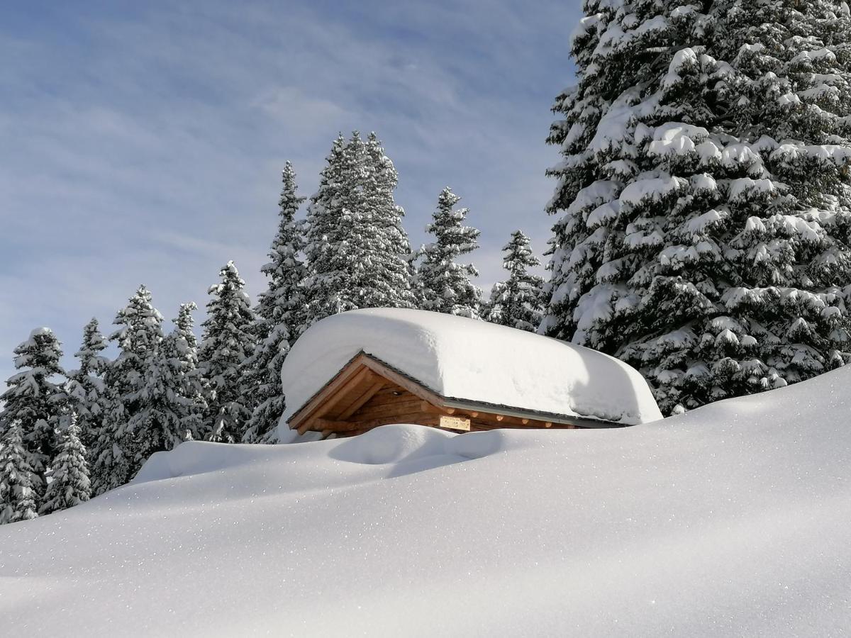 Dolomites B&B - Suites, Apartments And Spa Tesero Eksteriør billede