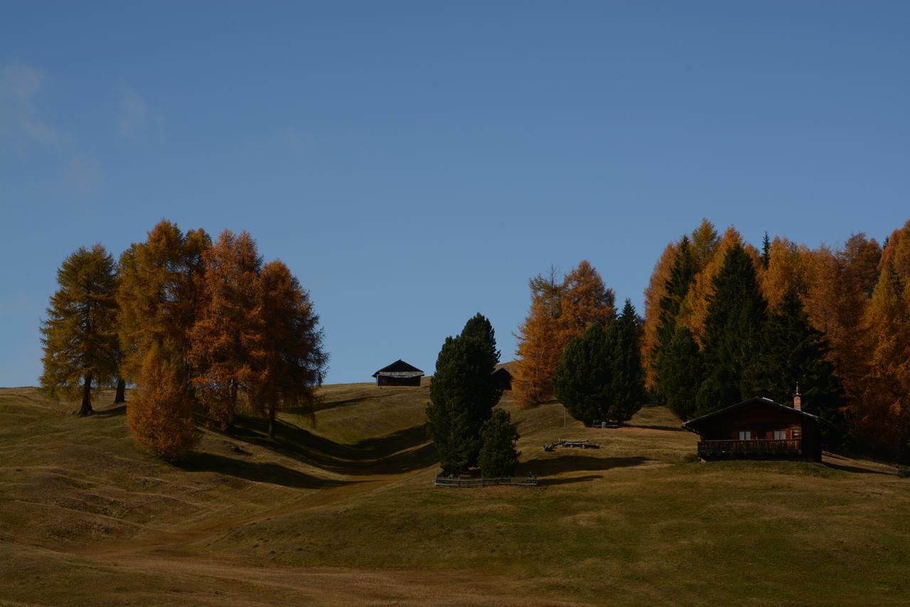 Dolomites B&B - Suites, Apartments And Spa Tesero Eksteriør billede